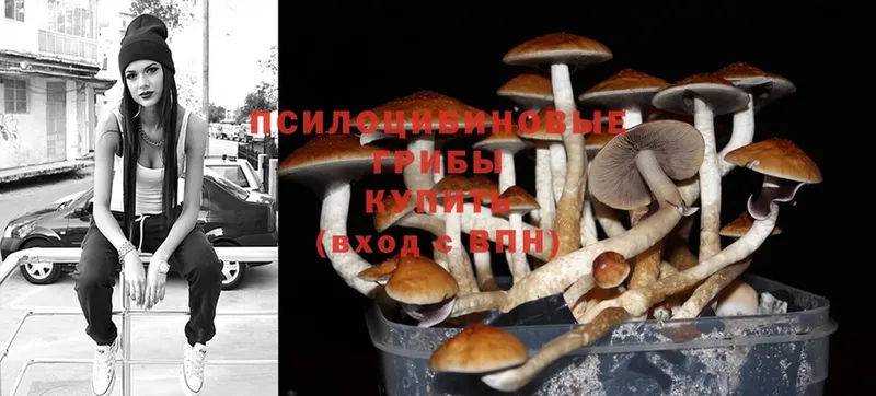 Галлюциногенные грибы Cubensis  Разумное 